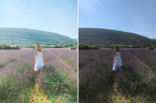 Load image into Gallery viewer, The Classic Collection - Mobile Presets