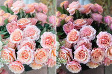 Load image into Gallery viewer, The Classic Collection - Mobile Presets