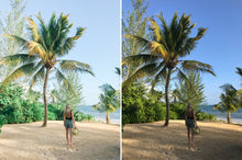 Load image into Gallery viewer, The Classic Collection - Mobile Presets